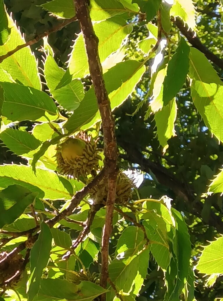 秋のバス遠足～にじチーム～
